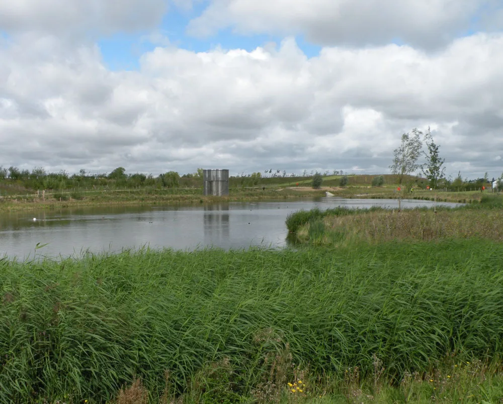 Brook Leys, the surface water lakes at Eddington in north west Cambridge