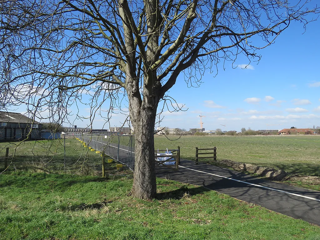 Open land on the path to Eddington, with construction cranes beyond. The photograph does not show the exact area covered by the new applications